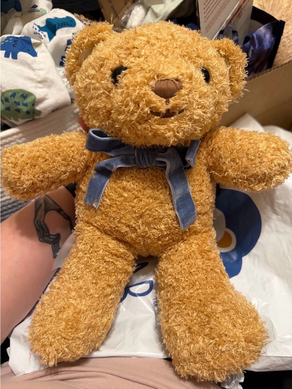 Zippy the Bear Plush Teddy Bear with Secret Zipper Storage - NWT
